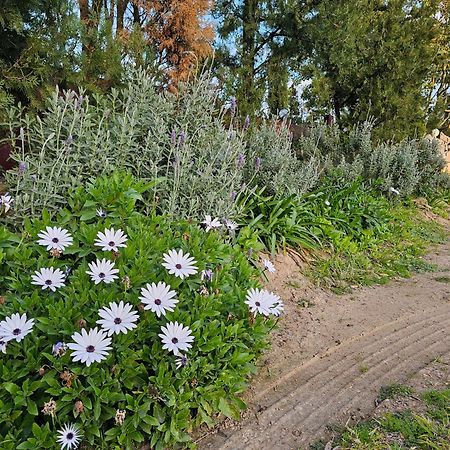 Gowrie Agapanthus Apartment ซิงเกิลตัน ภายนอก รูปภาพ