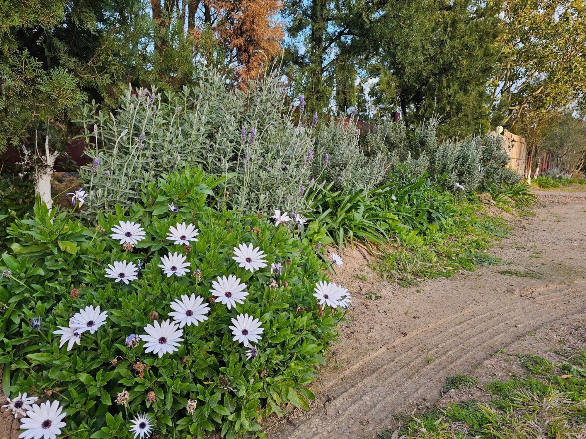 Gowrie Agapanthus Apartment ซิงเกิลตัน ภายนอก รูปภาพ